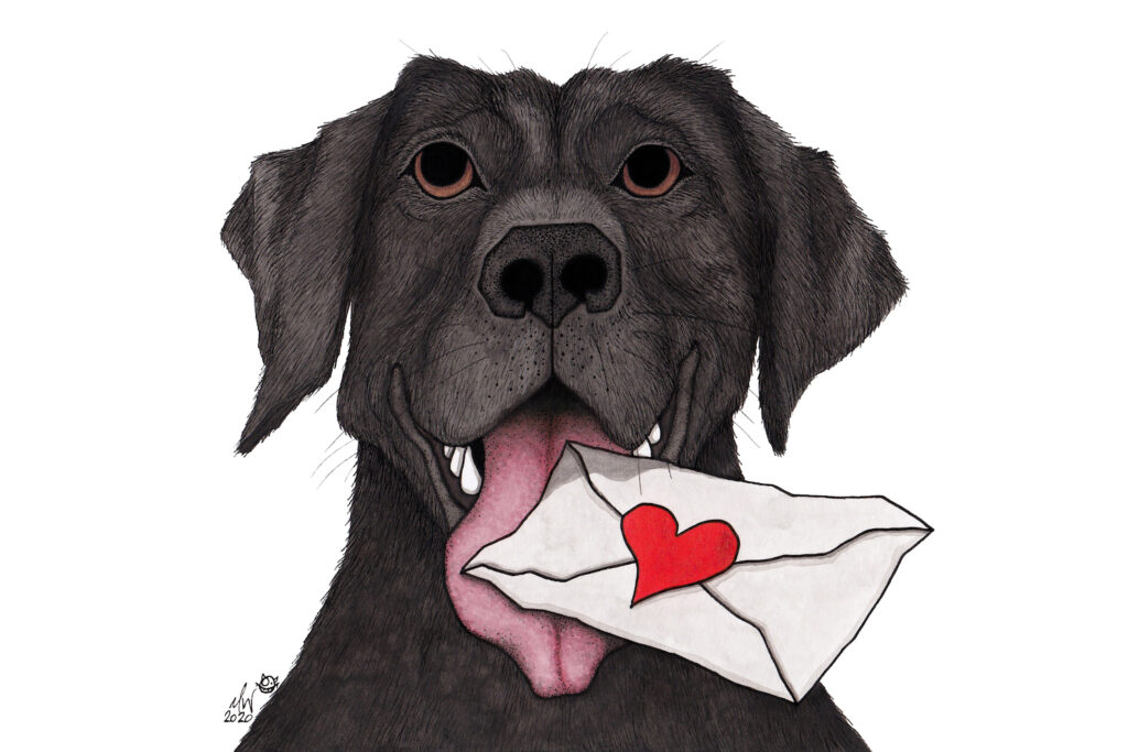 A black lab with his tongue out, holding a white envelope with a red heart stamped on the back covering the flap. The drawing is done with colored pencil.