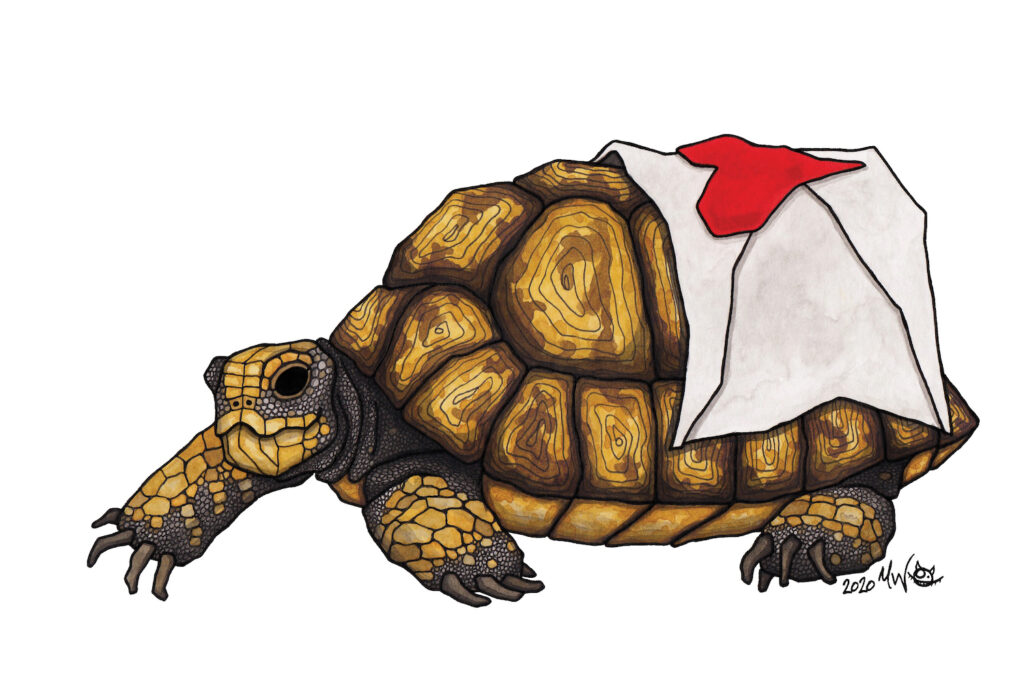 A beautiful, yellow-brown turtle. Draped over the top of his body is white envelope with a red heart stamped on the back covering the flap. Only half the envelope is visible. I believe this is a box turtle. 