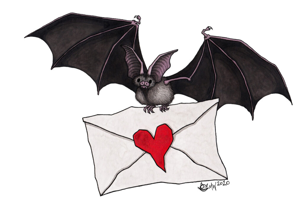 A BAT! October is Halloween, after all, and Halloween is my brother Matt's jam. This bat is flying, facing you and holding a white envelope with a red heart stamped on the back covering the flap. His wing span is about twice the width of the envelope below him. Or her!